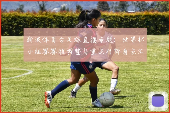 新浪体育台足球直播专题：世界杯小组赛赛程调整与重点对阵看点汇总