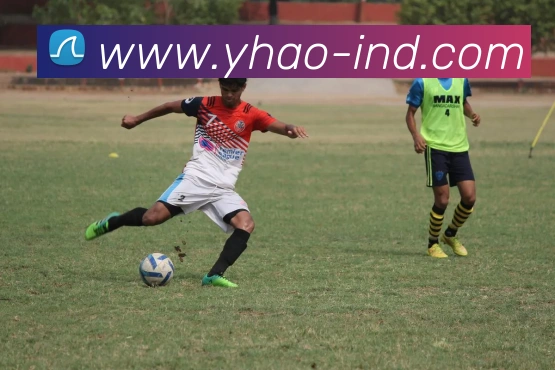 爱体育电子官网登录平台生态图